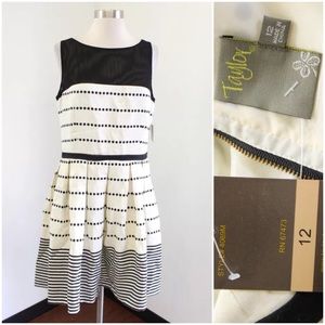 NWT Taylor Polka Dot Stripe Party Dress